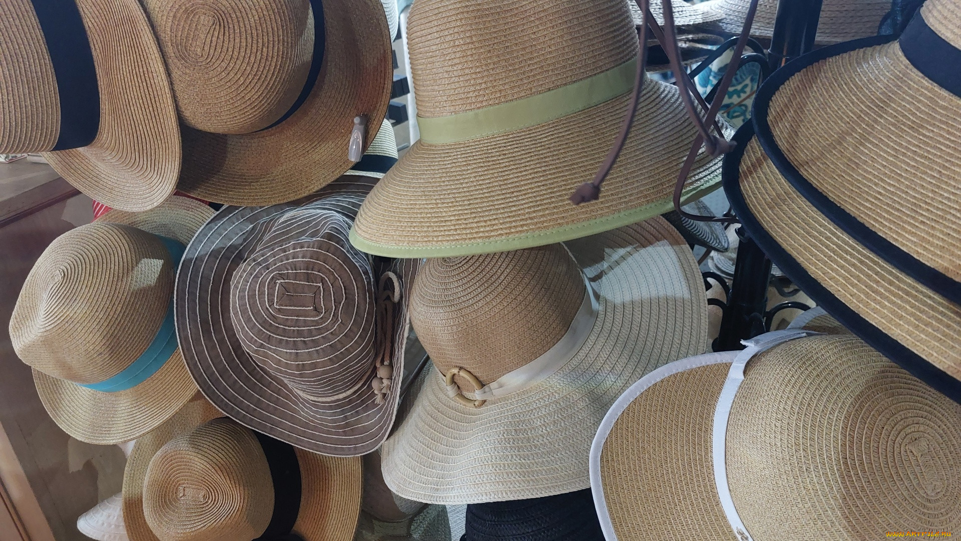 , ,  ,  ,  , , , 